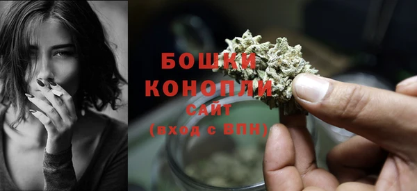 бошки Вязьма
