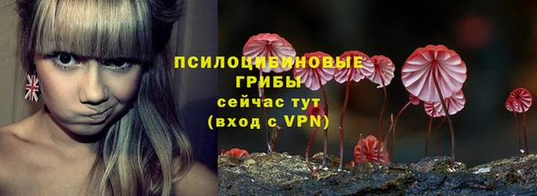 альфа пвп Вяземский